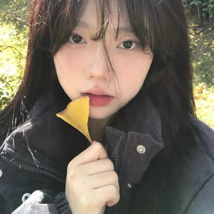 消失的皮箱